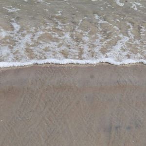 Meet your Posher, Sadie